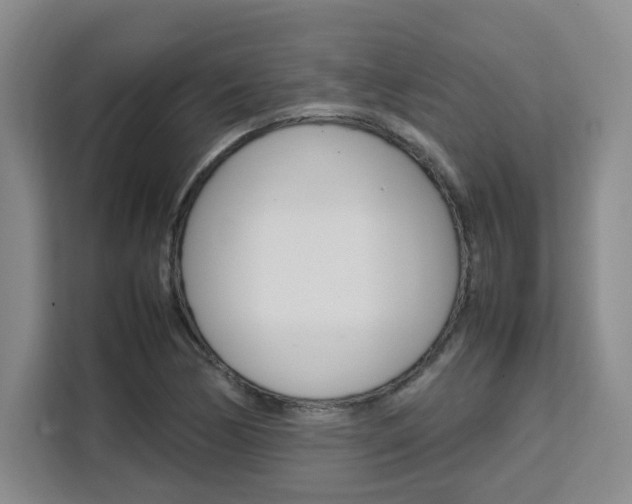 X0000111531170200907141250