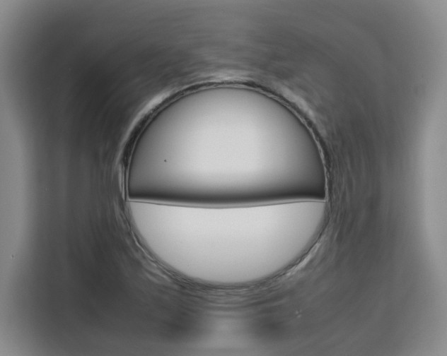 X0000111531171200907141250