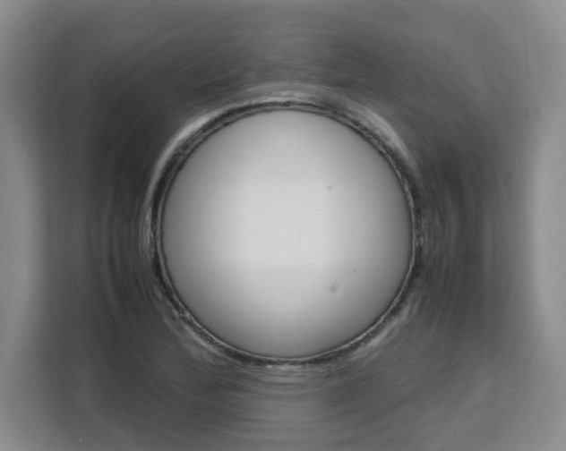 X0000111531172200907141250