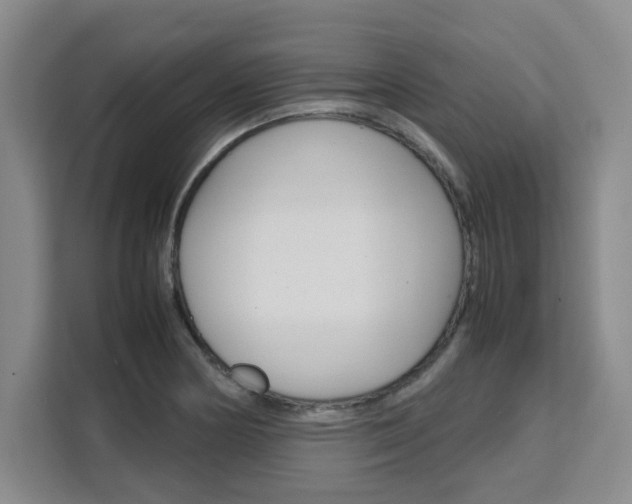 X0000111531178200907141250