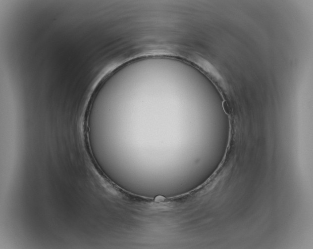 X0000111531181200907141250