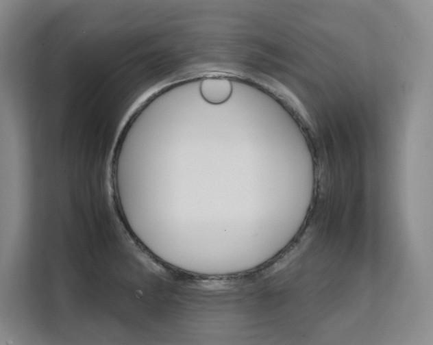 X0000111531182200907141250