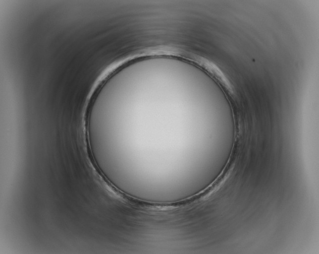 X0000111531184200907141250