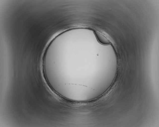 X0000111531187200907141250