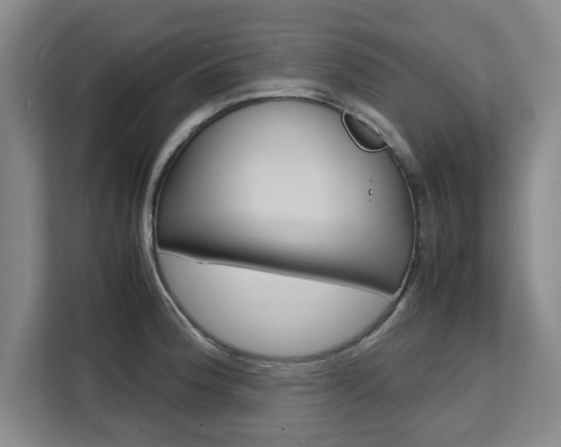 X0000111531188200907141250