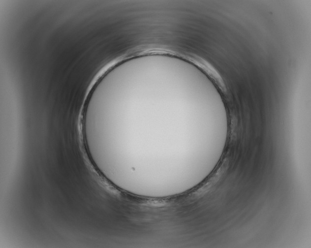 X0000111531190200907141250