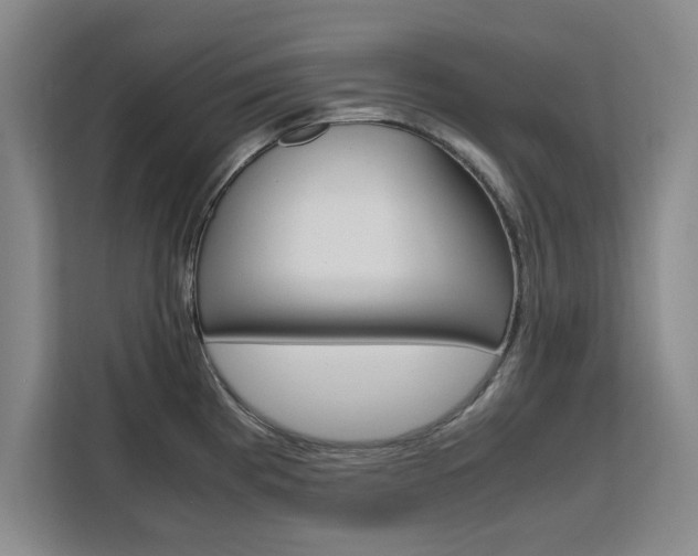 X0000111531193200907141250