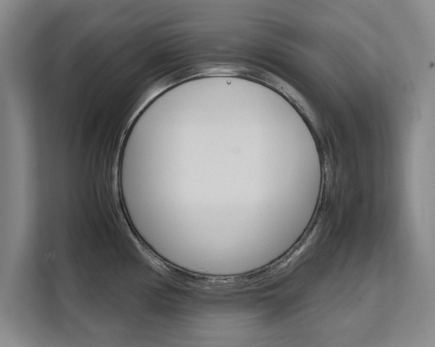 X0000111531194200907141250