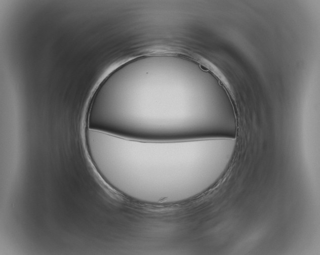 X0000111531195200907141250