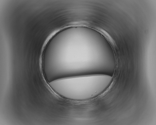 X0000111531196200907141250