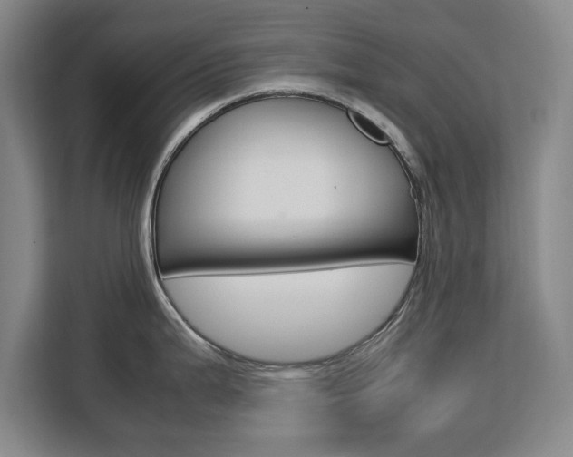 X0000111531199200907141250