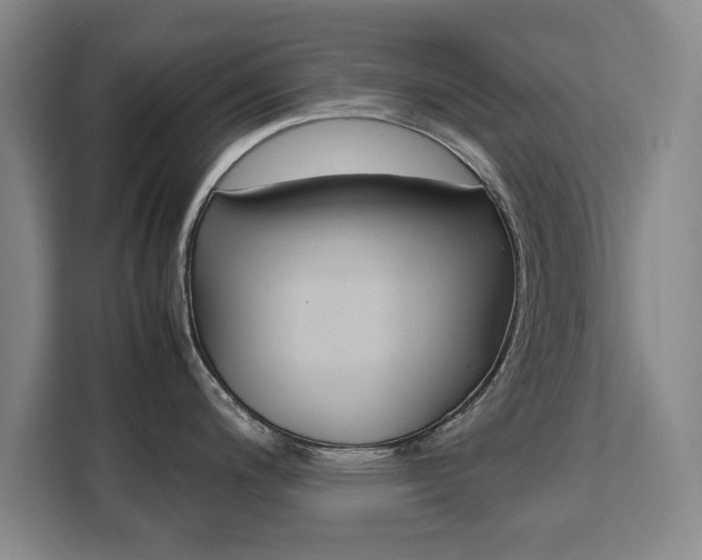 X0000111531200200907141250
