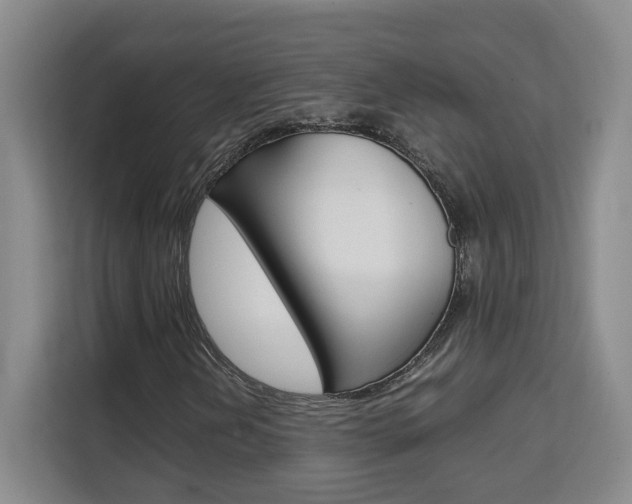 X0000111531202200907141249