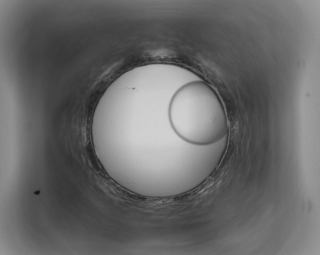 X0000111531205200907141249