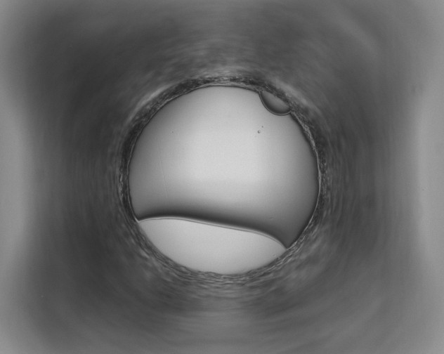 X0000111531206200907141249