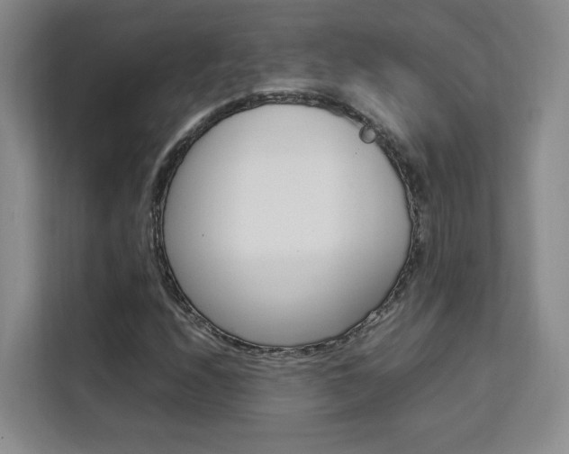 X0000111531208200907141249