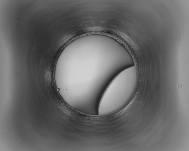 X0000111531209200907141249