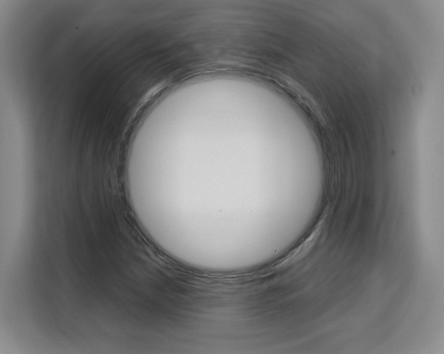 X0000111531210200907141249