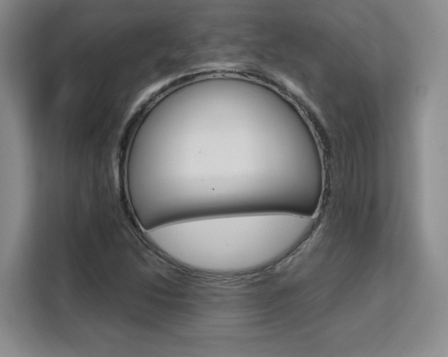 X0000111531214200907141250