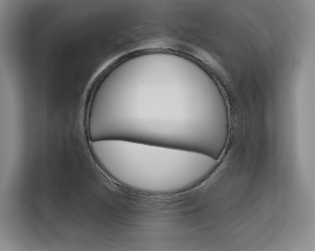 X0000111531216200907141250