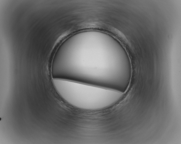 X0000111531218200907141250