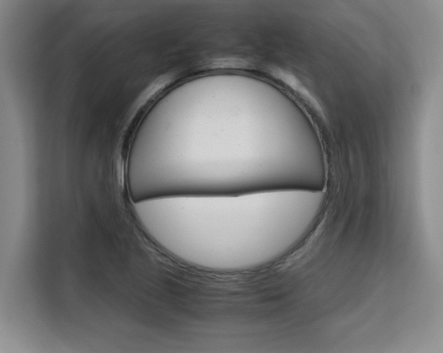 X0000111531221200907141250