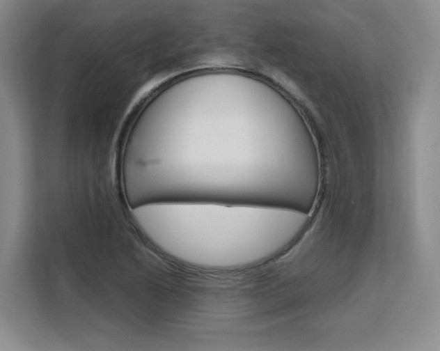 X0000111531222200907141250