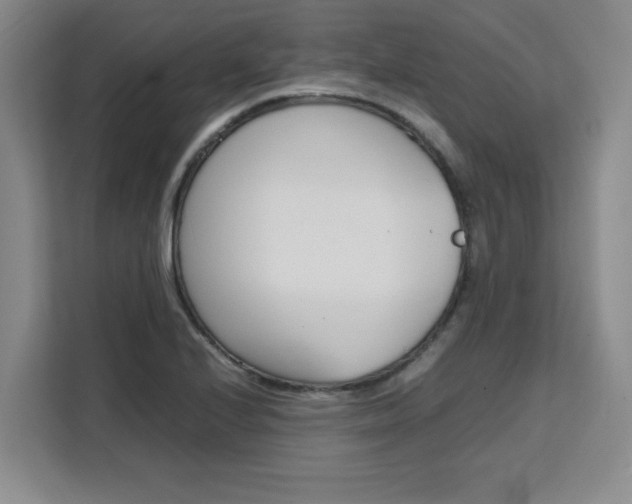 X0000111531224200907141250
