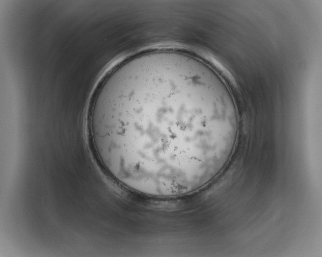 X0000111531229200907141250
