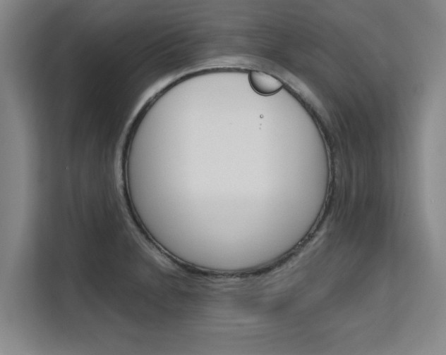 X0000111531230200907141250