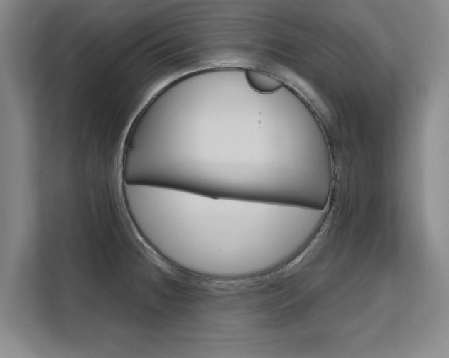 X0000111531236200907141250