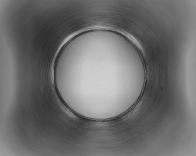 X0000111531238200907141250