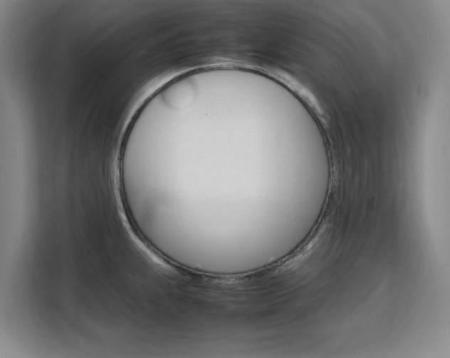 X0000111531239200907141250