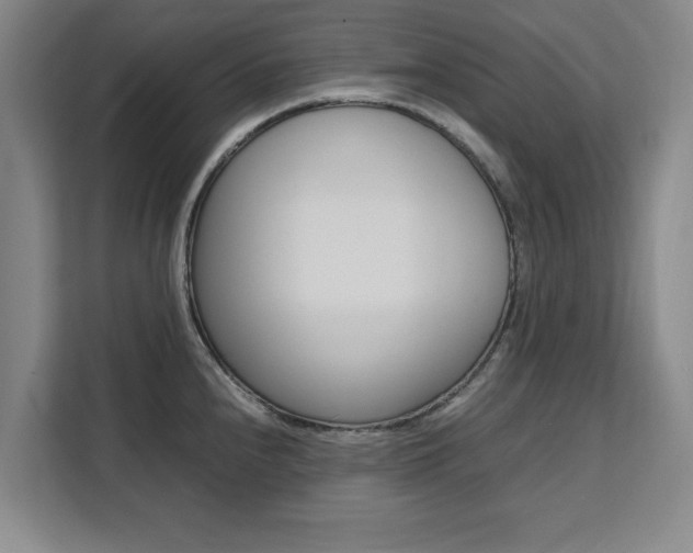 X0000111531240200907141250