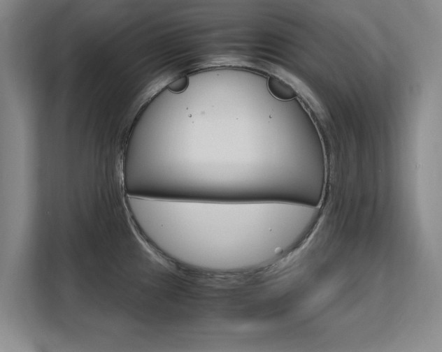 X0000111531241200907141250