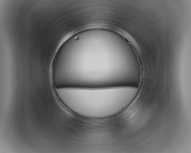 X0000111531242200907141250