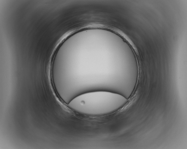 X0000111531245200907141250