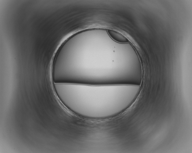 X0000111531246200907141250