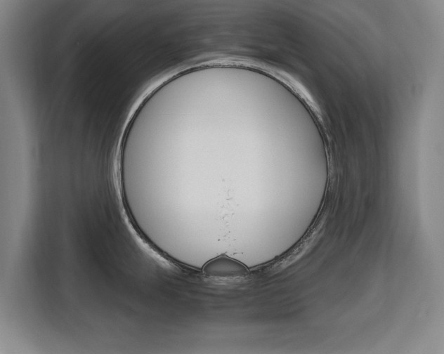X0000111531247200907141250