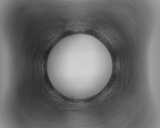 X0000111531250200907141249