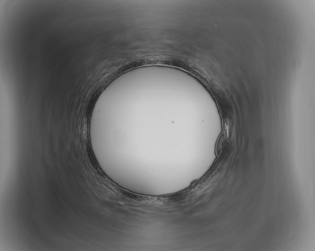 X0000111531251200907141249