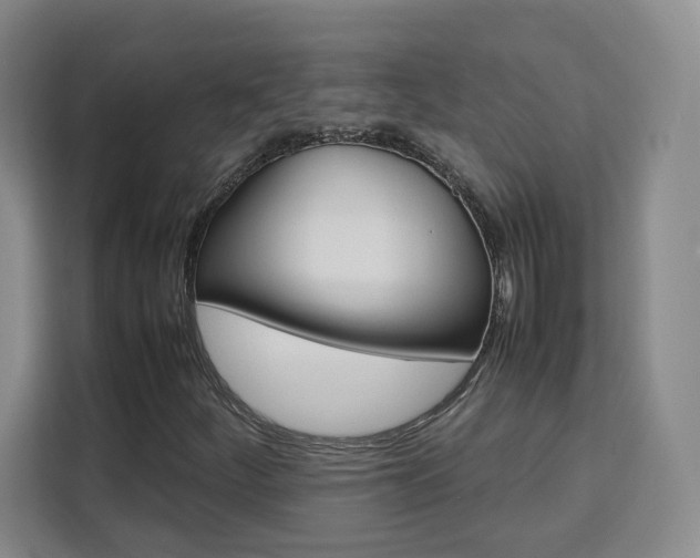 X0000111531252200907141249