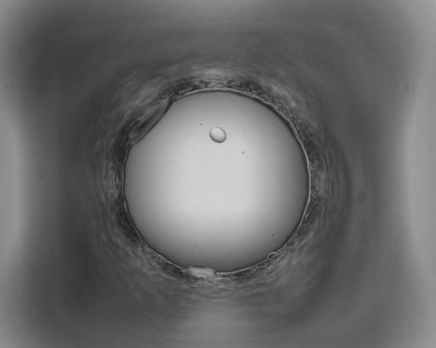 X0000111531253200907141249