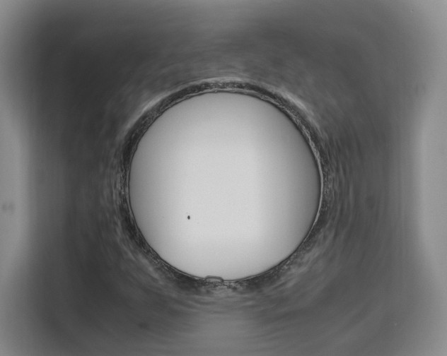 X0000111531255200907141249