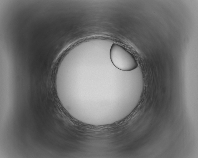 X0000111531256200907141249