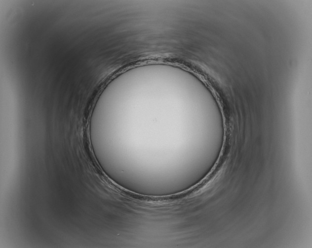 X0000111531257200907141249