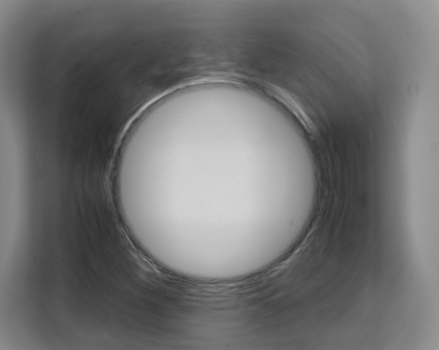 X0000111531260200907141249