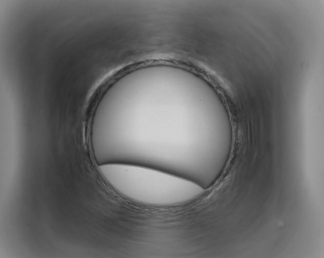 X0000111531262200907141249