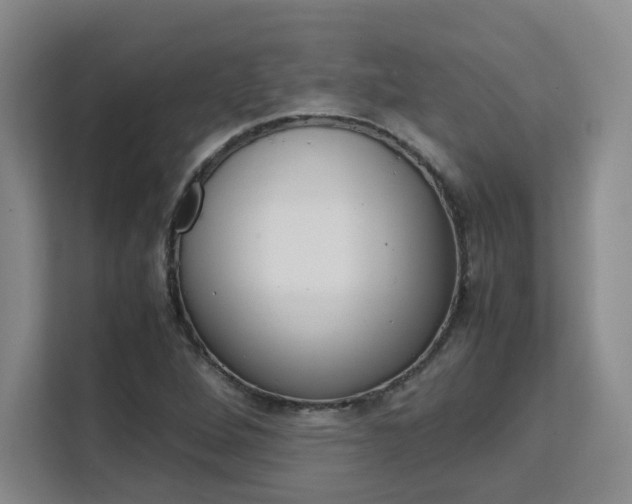 X0000111531264200907141249
