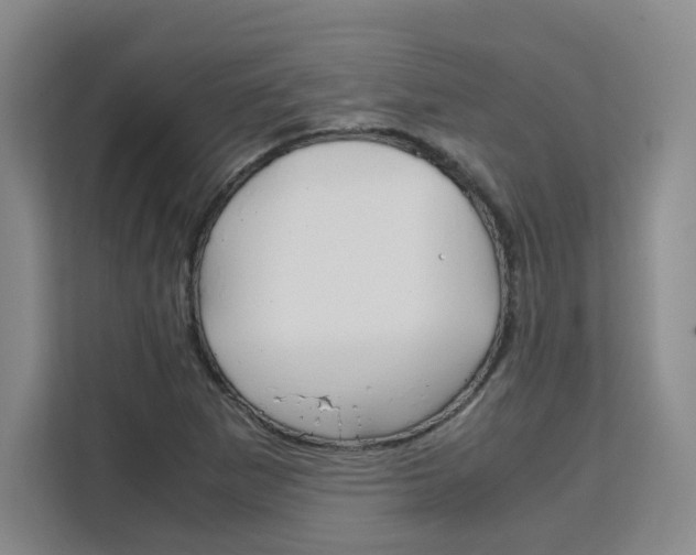 X0000111531265200907141249